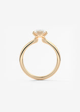 The Plunge | Marquise