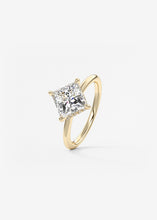 Plunge Hidden Halo | Princess