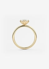 Harper Compass | Marquise