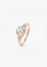 The Posie | Rose Cut