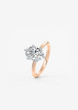 The Bloom Royale | Oval