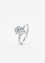 The Bloom Royale | Oval