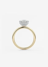 The Bloom Royale | Pear