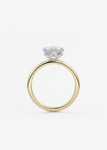The Bloom Royale | Marquise