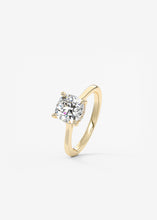 The Cathedral Hidden Halo | Cushion