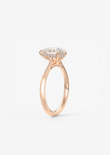 The Cathedral Hidden Halo | Pear