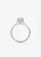 The Cathedral Hidden Halo | Pear