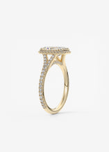 The French Halo | Radiant
