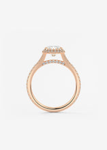 The French Halo | Radiant