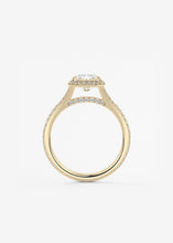 The French Halo | Radiant