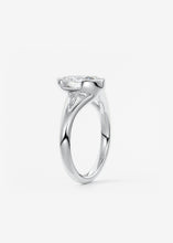 The Celeste | Pear
