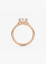 The Arbor | Round