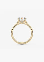 The Arbor | Round
