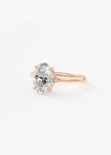 The Arbor | Oval