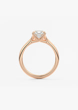 The Arbor | Oval