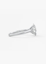 The Arbor | Oval