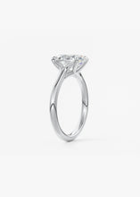 The Arbor | Oval