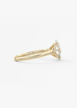 The Arbor | Oval