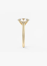 The Arbor | Oval