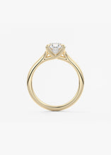 The Arbor | Oval