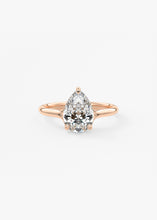 The Arbor | Pear