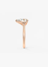 The Arbor | Pear