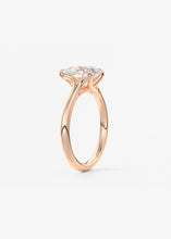The Arbor | Pear