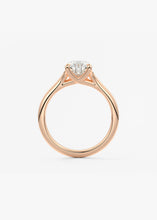 The Arbor | Pear