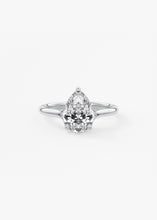 The Arbor | Pear