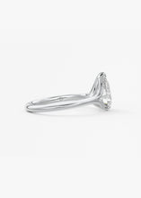 The Arbor | Pear