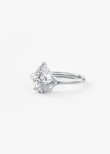 The Arbor | Pear