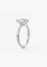 The Arbor | Pear