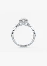 The Arbor | Pear
