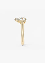 The Arbor | Pear