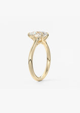 The Arbor | Pear