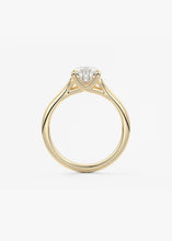 The Arbor | Pear