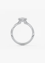 The Knot | Marquise