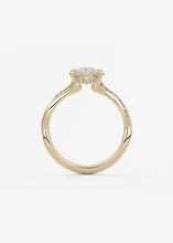 The Knot | Marquise