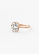 The Chiclette | Elongated Cushion
