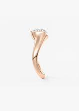 The Ray | Oval