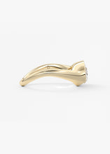 The Ray | Oval