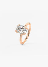 The Buttercup | Oval