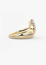 Sugarloaf | Pear