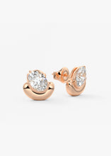 Cacao Studs | Oval
