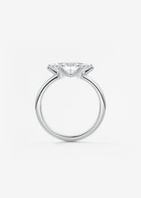 The Single Scoop E.W. | Marquise