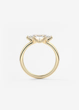 The Single Scoop E.W. | Marquise