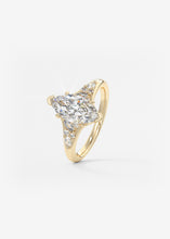 The Posie | Marquise