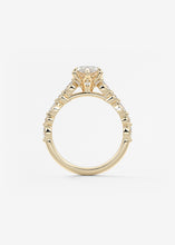 The Chantilly | Marquise