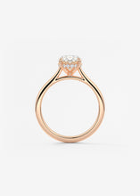 The Cathedral Hidden Halo | Oval