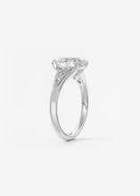 The Posie | Oval